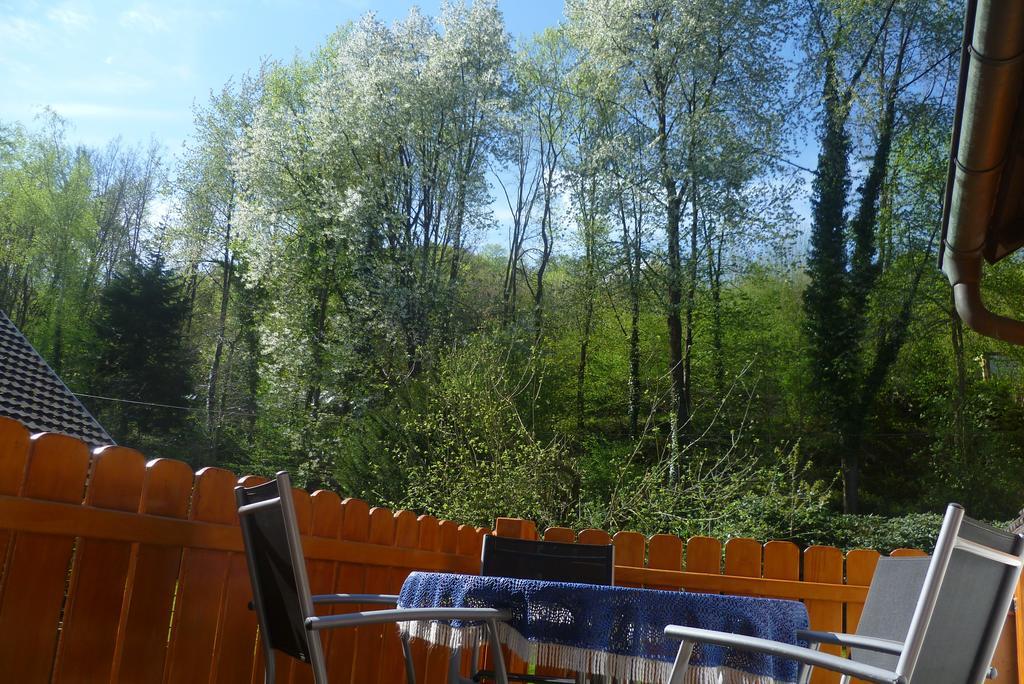 Schwarzwald Domizil Uhlsberg Leilighet Kippenheim Eksteriør bilde