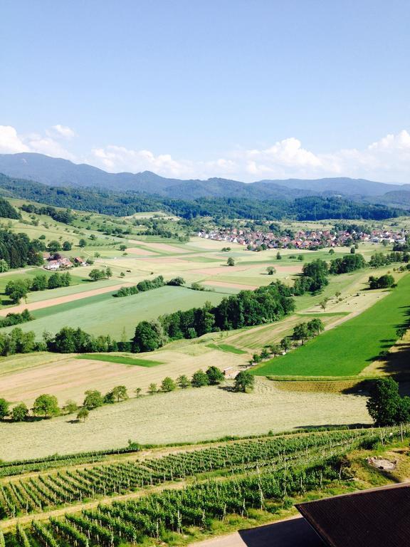 Schwarzwald Domizil Uhlsberg Leilighet Kippenheim Eksteriør bilde