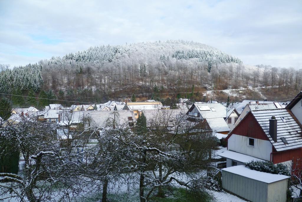 Schwarzwald Domizil Uhlsberg Leilighet Kippenheim Eksteriør bilde