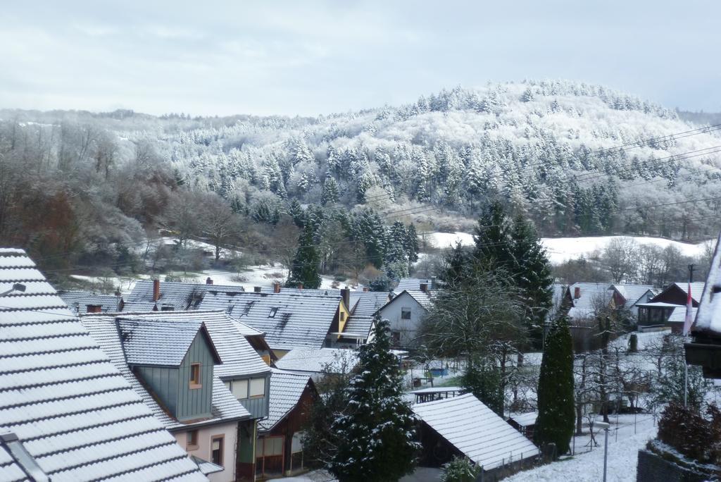 Schwarzwald Domizil Uhlsberg Leilighet Kippenheim Rom bilde