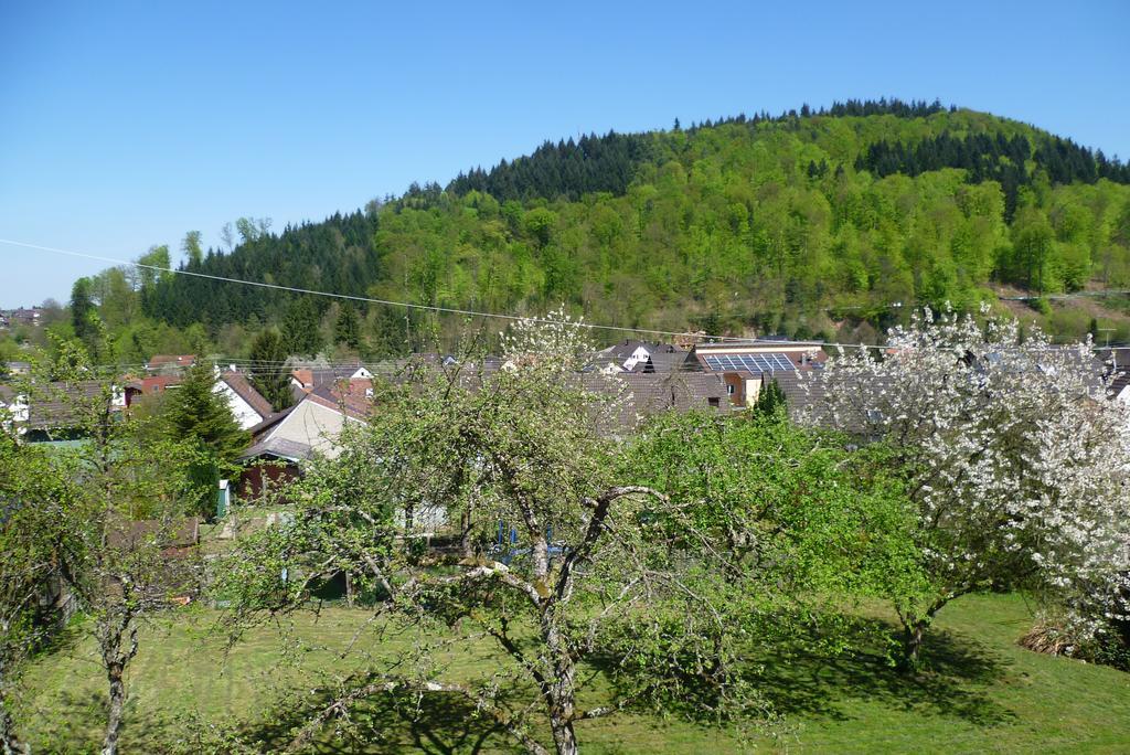 Schwarzwald Domizil Uhlsberg Leilighet Kippenheim Rom bilde