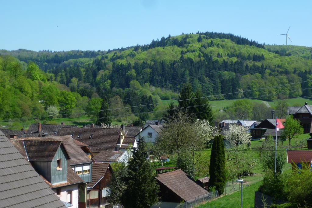 Schwarzwald Domizil Uhlsberg Leilighet Kippenheim Rom bilde