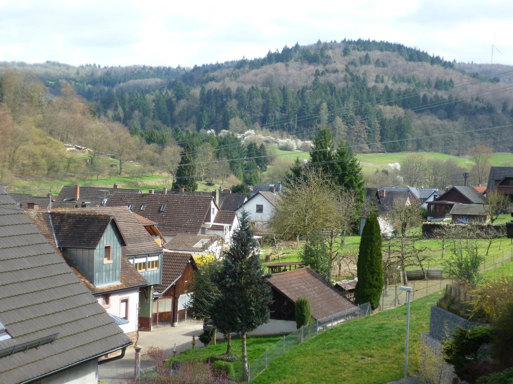 Schwarzwald Domizil Uhlsberg Leilighet Kippenheim Rom bilde