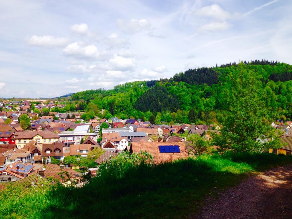 Schwarzwald Domizil Uhlsberg Leilighet Kippenheim Eksteriør bilde
