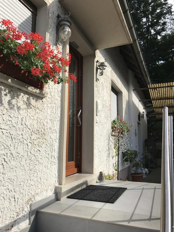 Schwarzwald Domizil Uhlsberg Leilighet Kippenheim Eksteriør bilde
