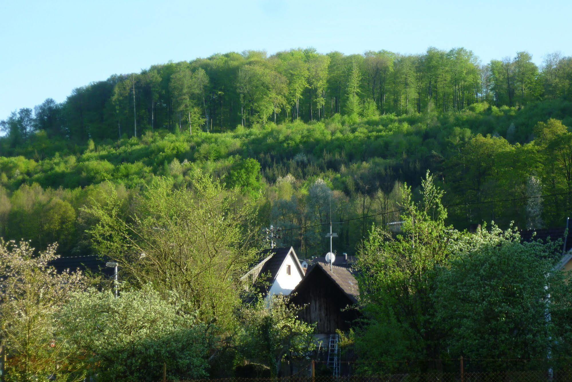 Schwarzwald Domizil Uhlsberg Leilighet Kippenheim Eksteriør bilde